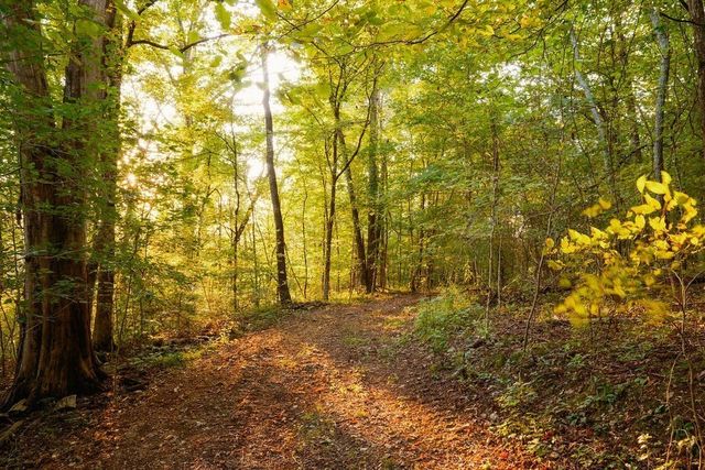 3685 Martin Ervin Rd, Santa Fe, TN 38482