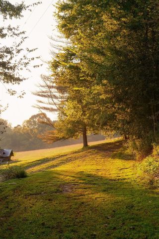 3685 Martin Ervin Rd, Santa Fe, TN 38482