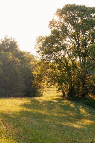 3685 Martin Ervin Rd, Santa Fe, TN 38482