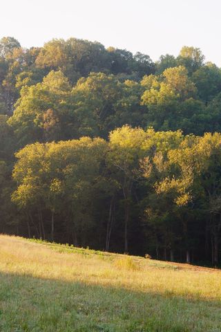 3685 Martin Ervin Rd, Santa Fe, TN 38482