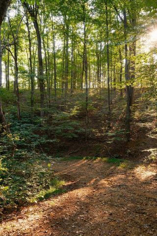 3685 Martin Ervin Rd, Santa Fe, TN 38482