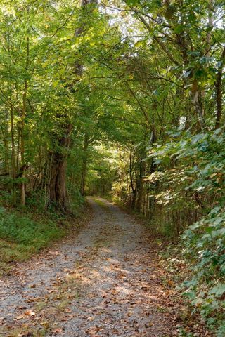 3685 Martin Ervin Rd, Santa Fe, TN 38482