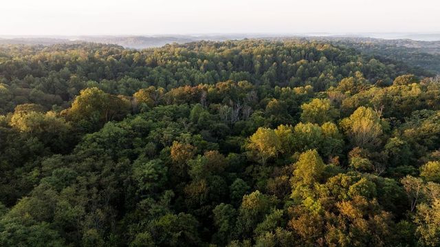 3685 Martin Ervin Rd, Santa Fe, TN 38482