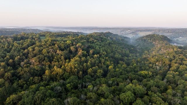 3685 Martin Ervin Rd, Santa Fe, TN 38482