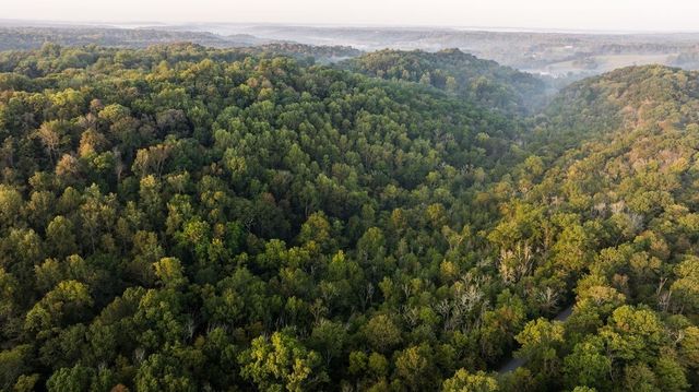 3685 Martin Ervin Rd, Santa Fe, TN 38482