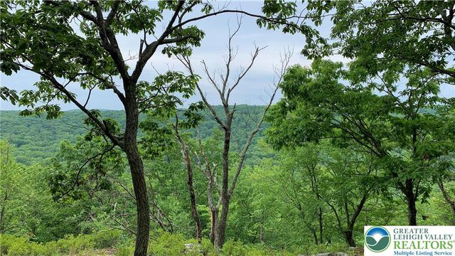 3205 Ely Court, Lehman Twp, PA 18324