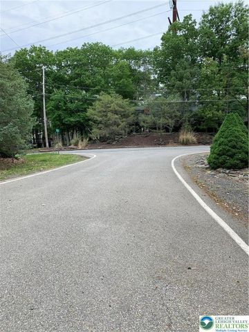 3205 Ely Court, Lehman Twp, PA 18324