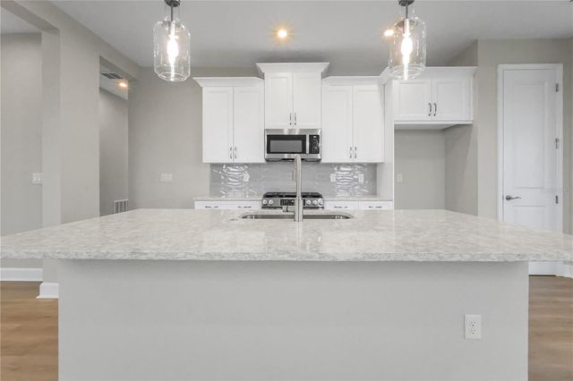 570 HAMMOCK OAKS BOULEVARD, Lady Lake, FL 32159