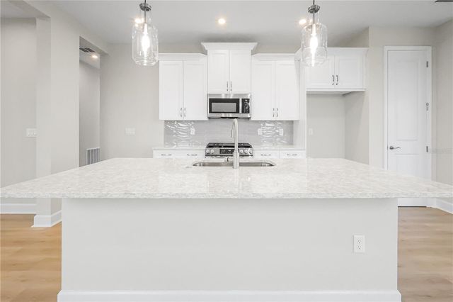 570 HAMMOCK OAKS BOULEVARD, Lady Lake, FL 32159