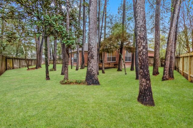 18 Maize Meadow Place, The Woodlands, TX 77381