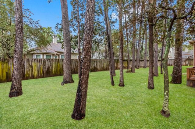 18 Maize Meadow Place, The Woodlands, TX 77381