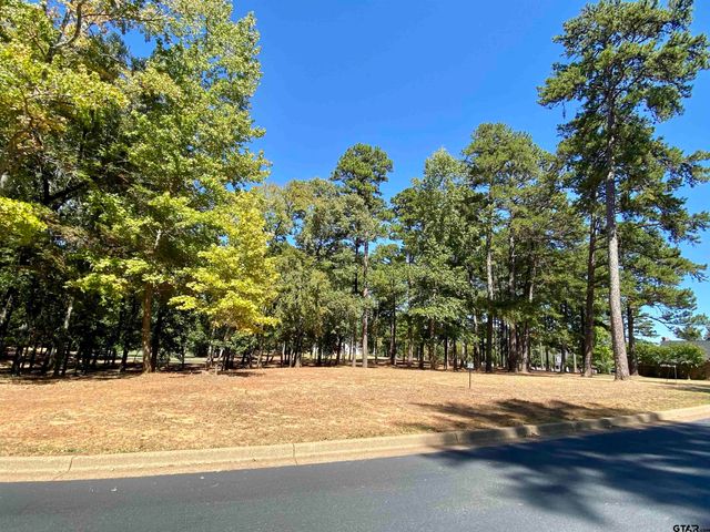 Lot 22 Leisure Ln, Frankston, TX 75763
