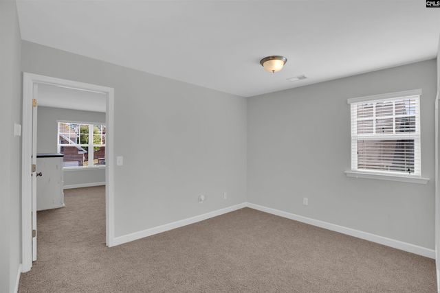 613 Calypso Court, Chapin, SC 29036