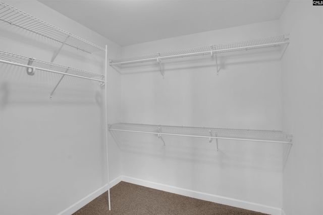 613 Calypso Court, Chapin, SC 29036