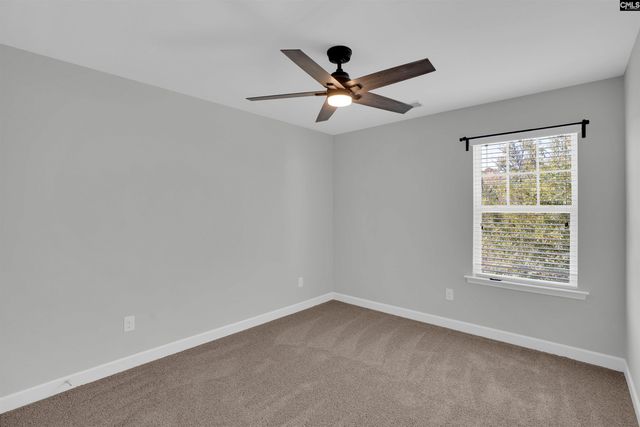 613 Calypso Court, Chapin, SC 29036