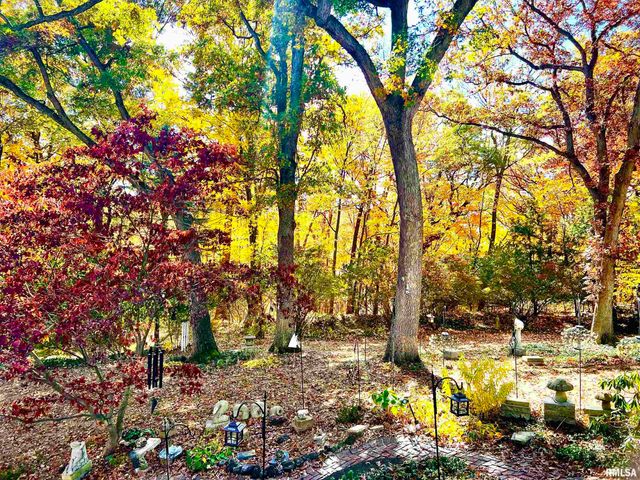 229 E FAR HILLS Drive, East Peoria, IL 61611