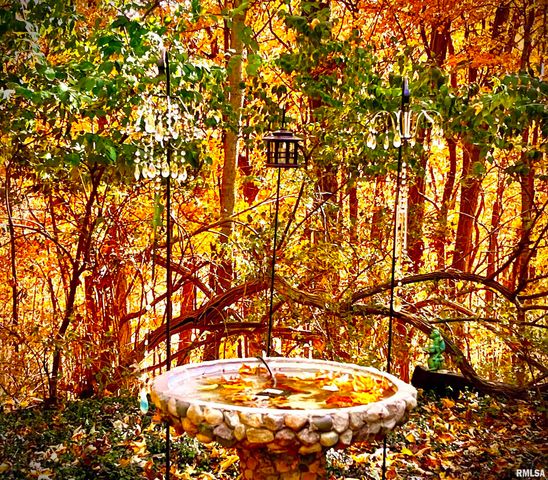 229 E FAR HILLS Drive, East Peoria, IL 61611