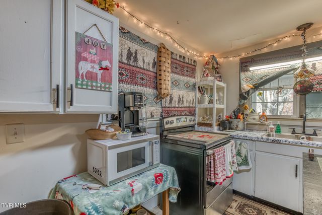 3004 Cane Creek Rd Road, Bakersville, NC 28705