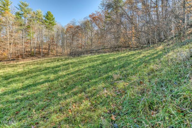 3004 Cane Creek Rd Road, Bakersville, NC 28705