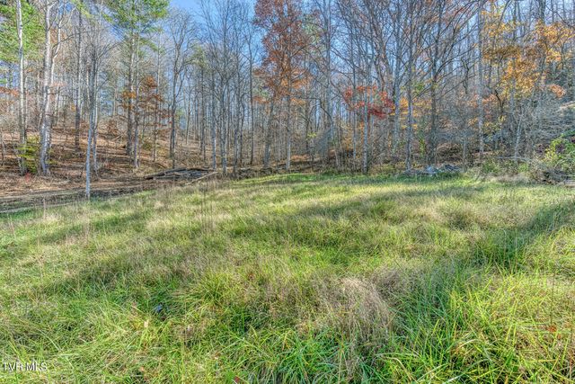 3004 Cane Creek Rd Road, Bakersville, NC 28705