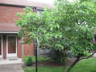 1007 Sewickley Heights Dr, Aleppo, PA 15143