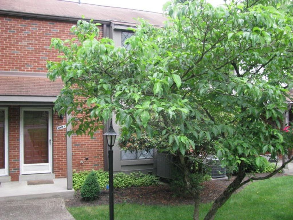 1007 Sewickley Heights Dr, Aleppo, PA 15143