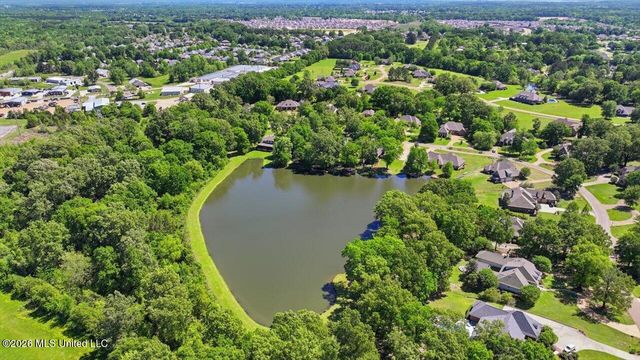 131 Wildwood Drive, Madison, MS 39110