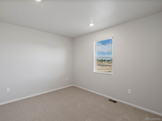 1637 Yampa River Dr, Windsor, CO 80550