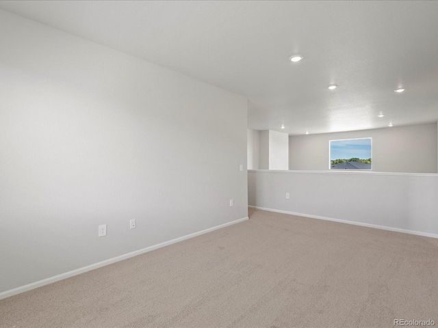 1637 Yampa River Dr, Windsor, CO 80550