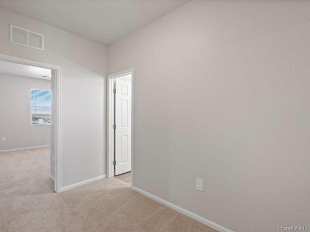 1637 Yampa River Dr, Windsor, CO 80550