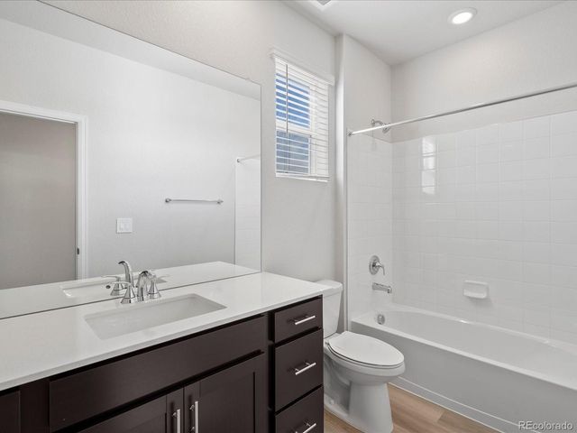 1637 Yampa River Dr, Windsor, CO 80550