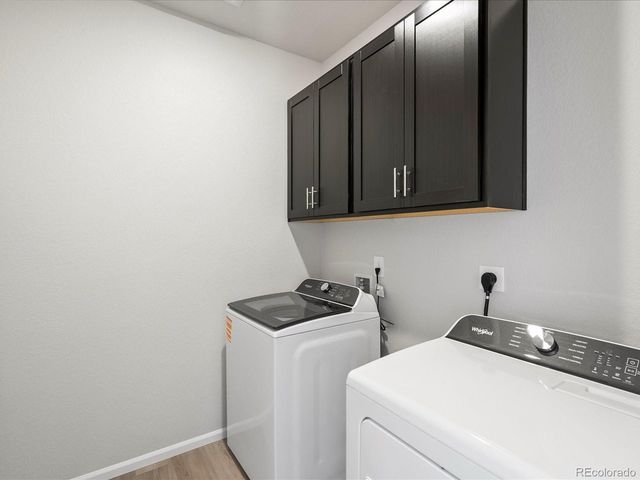 1637 Yampa River Dr, Windsor, CO 80550