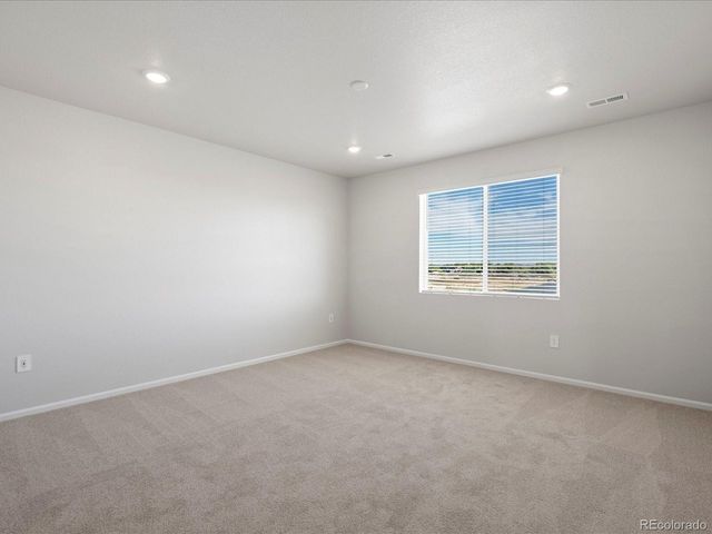 1637 Yampa River Dr, Windsor, CO 80550