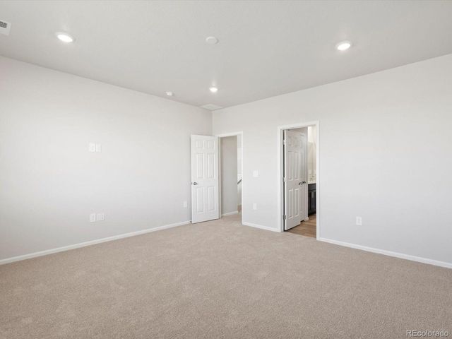 1637 Yampa River Dr, Windsor, CO 80550