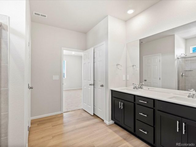 1637 Yampa River Dr, Windsor, CO 80550