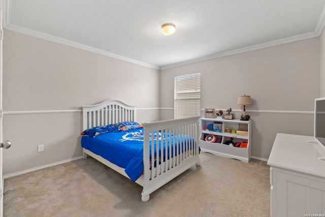 24222 Desert Ash, San Antonio, TX 78261