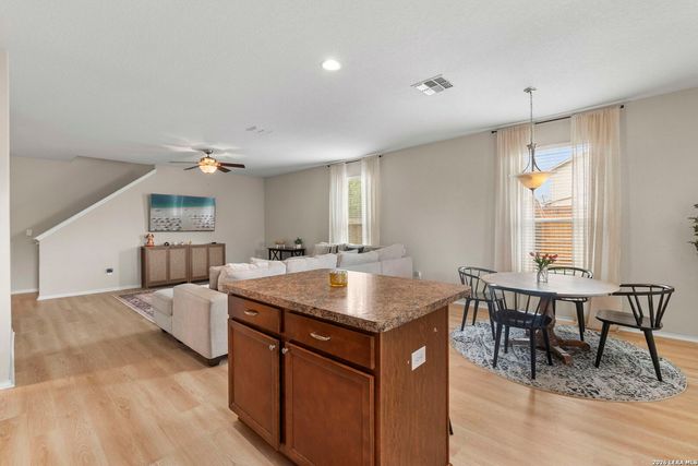 24222 Desert Ash, San Antonio, TX 78261