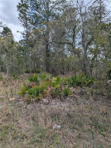 0 MAZETTE ROAD, Weeki Wachee, FL 34613