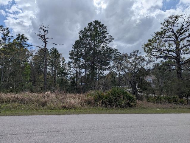 0 MAZETTE ROAD, Weeki Wachee, FL 34613