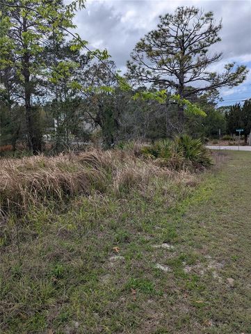 0 MAZETTE ROAD, Weeki Wachee, FL 34613