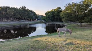 5440 Highway 78 S, Nevada, TX 75173