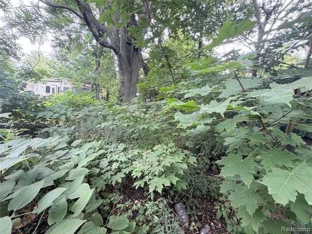 318 E Myrtle Avenue, Flint, MI 48505