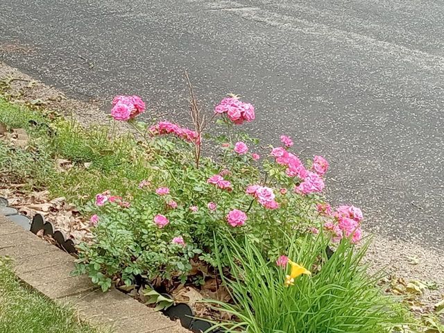 W5336 Wisconsin DRIVE, Elkhorn, WI 53121