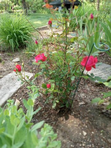 W5336 Wisconsin DRIVE, Elkhorn, WI 53121