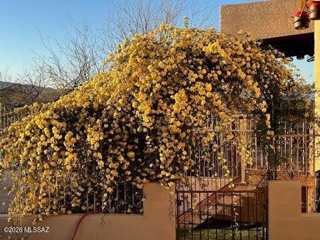 2330 N Bonanza Avenue, Tucson, AZ 85749