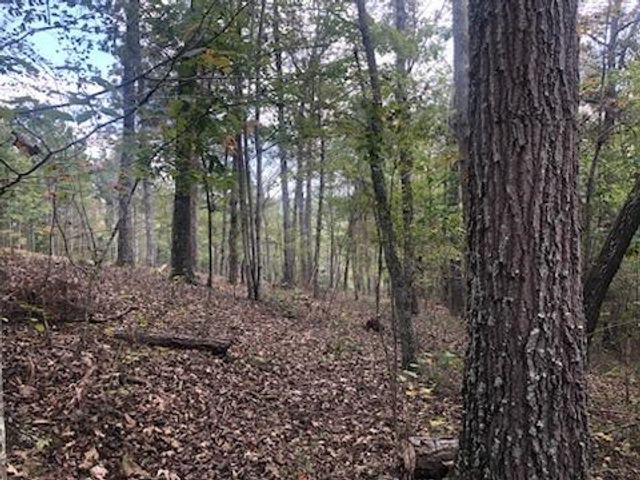 LT 90 Barrell Knot Court, Ellijay, GA 30536