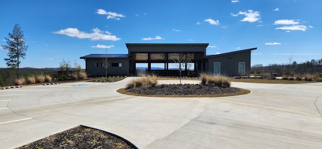 LT 90 Barrell Knot Court, Ellijay, GA 30536