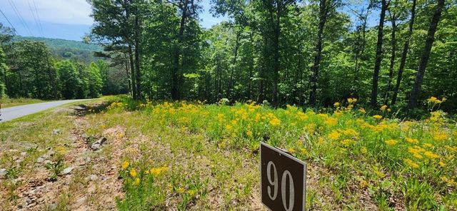 LT 90 Barrell Knot Court, Ellijay, GA 30536