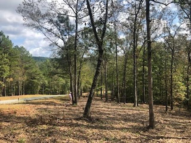 LT 90 Barrell Knot Court, Ellijay, GA 30536