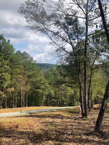 LT 90 Barrell Knot Court, Ellijay, GA 30536